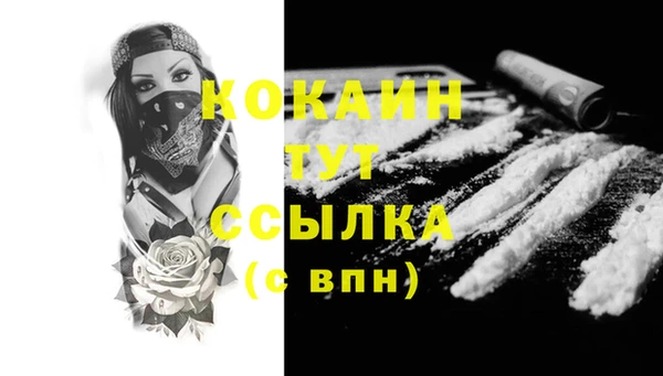 стаф Корсаков