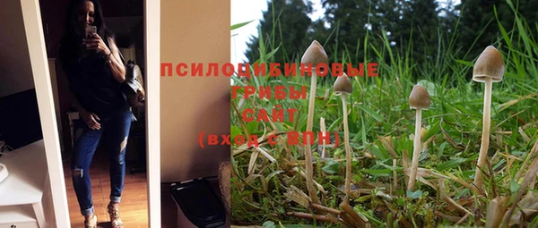 mdma Краснослободск