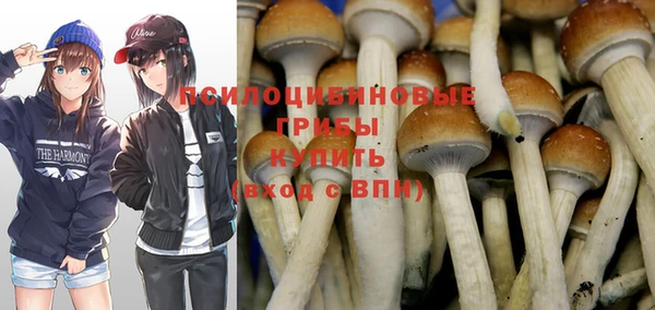 PSILOCYBIN Краснотурьинск
