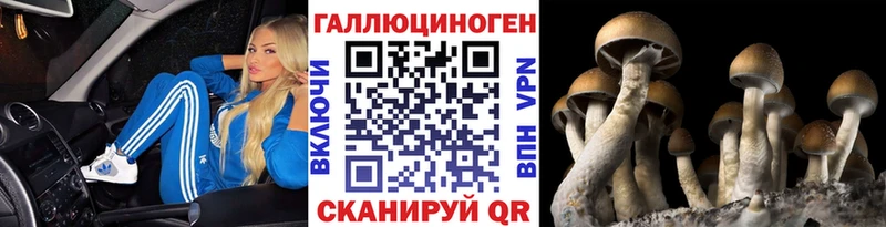 Галлюциногенные грибы Psilocybe  Наволоки 